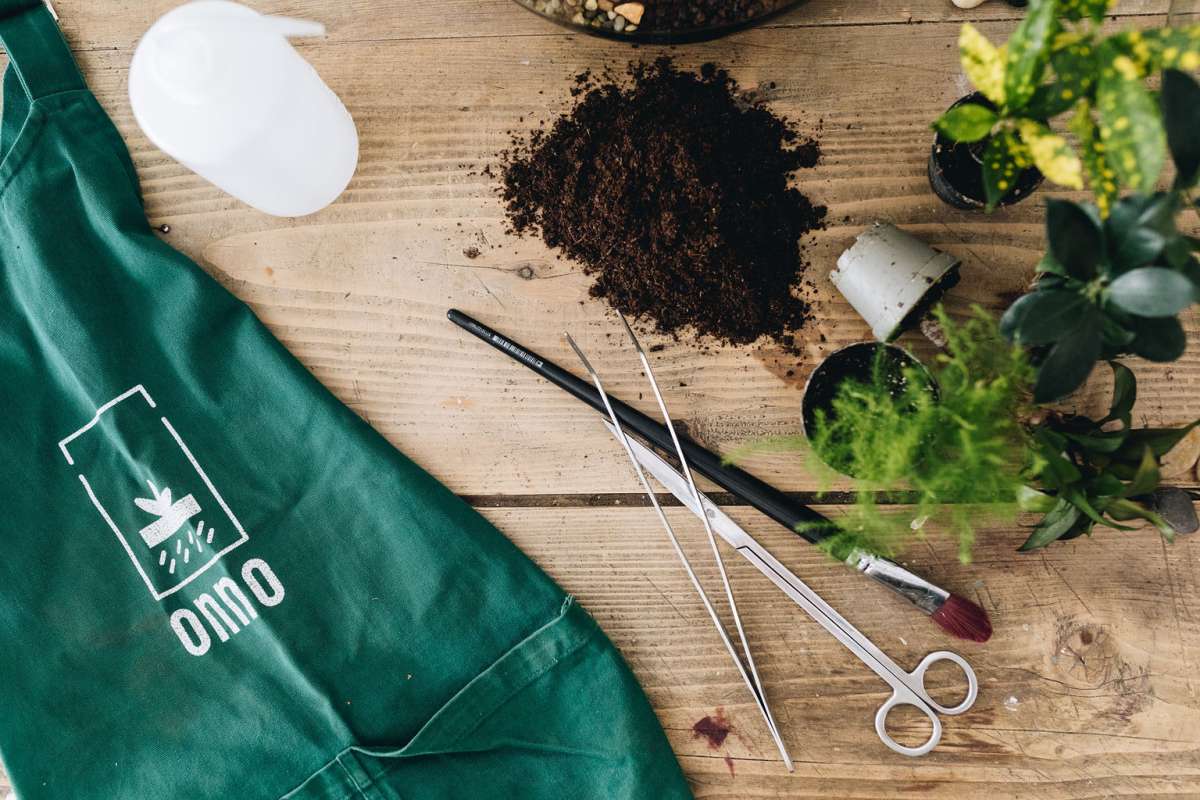 Atelier terrarium chez Onno à Lyon.