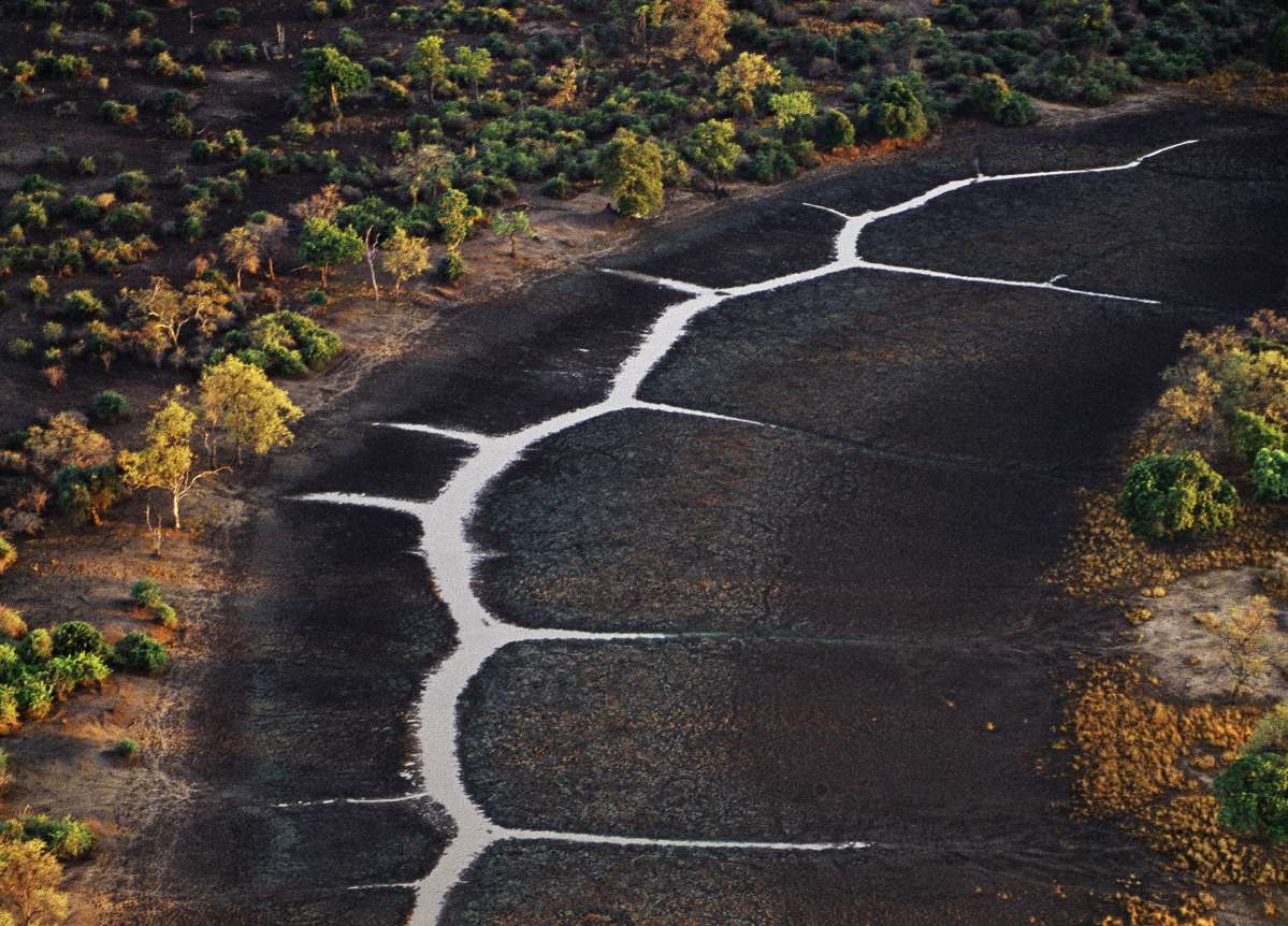 Assèchement d’un affluent de la Luangwa pendant la saison sèche Photographie de Frans Lanting Zambie, vallée de la Luangwa © Frans Lanting