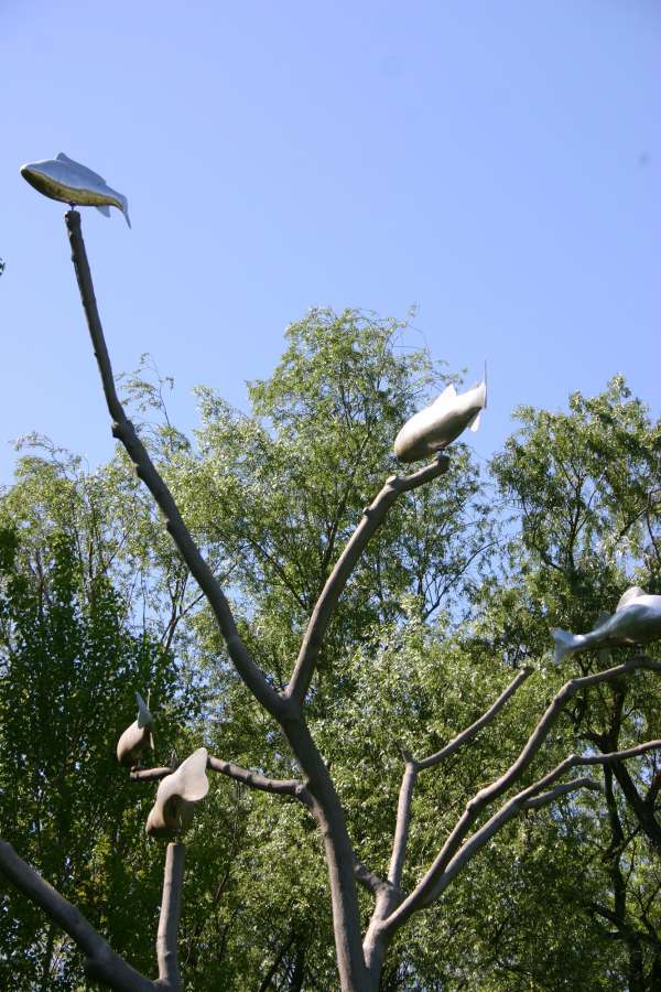 Le Gentil Garçon - Souvenir du monde inversé © Virginie Billy