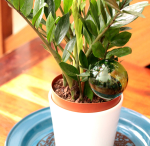 "Assoiffé" de Sillycat Glassblower © Sillycat Glassblower