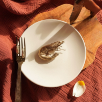 bijou crevette Laurène Vernet