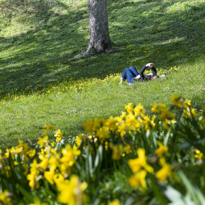 Parc de la Cerisaie &copy; Thierry fournier / M&eacute;tropole de Lyon